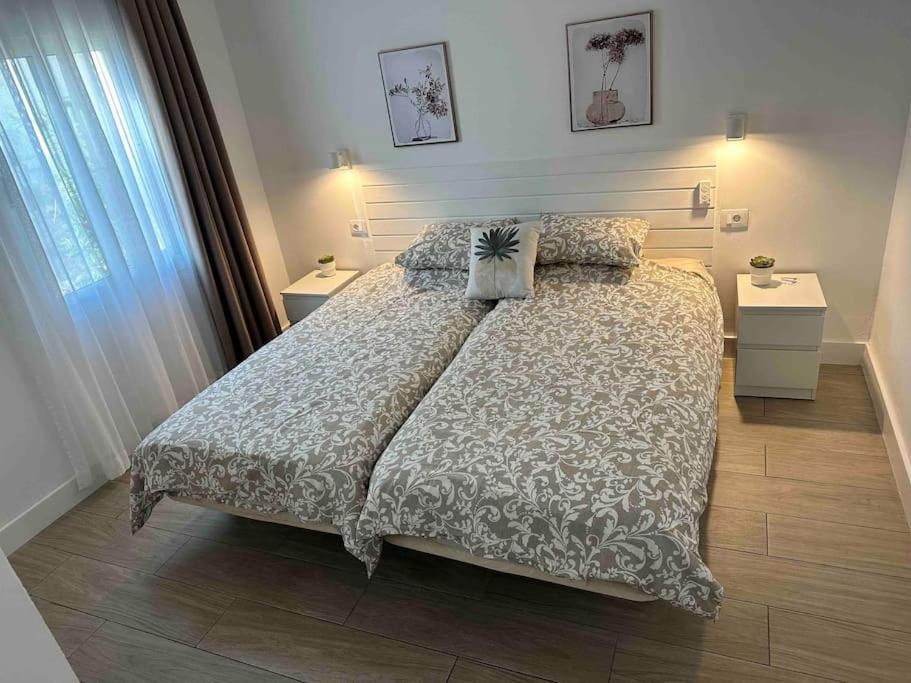 Pachi Beach Alisios Playa คอร์ราเลโฮ ภายนอก รูปภาพ